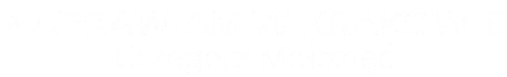 Naprawiam w Krakowie Grzegorz Małozięć logo